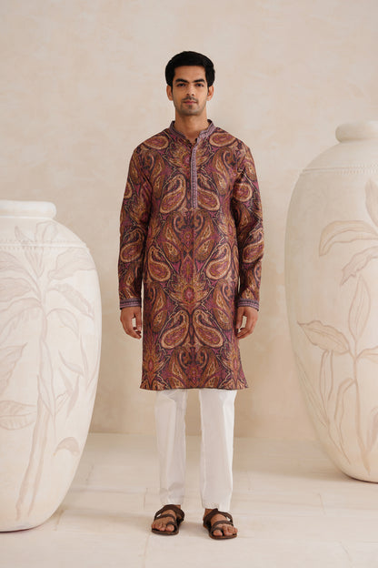 Brown Paisley Tussar Ghicha Silk Kurta Set