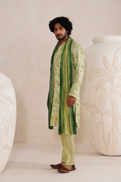 Green Tussar Print Kurta Set With Crush Ombre Dupatta